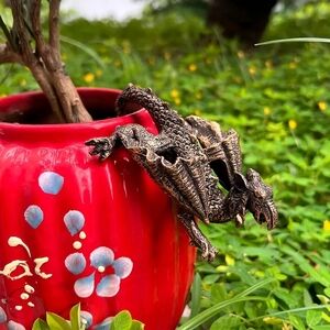 Decorative Dragon Reptile Pot Hanger - Black and Gold